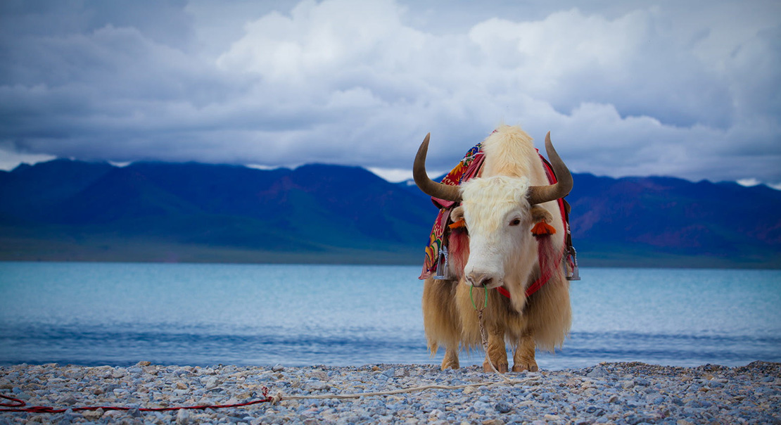 Namtso lake